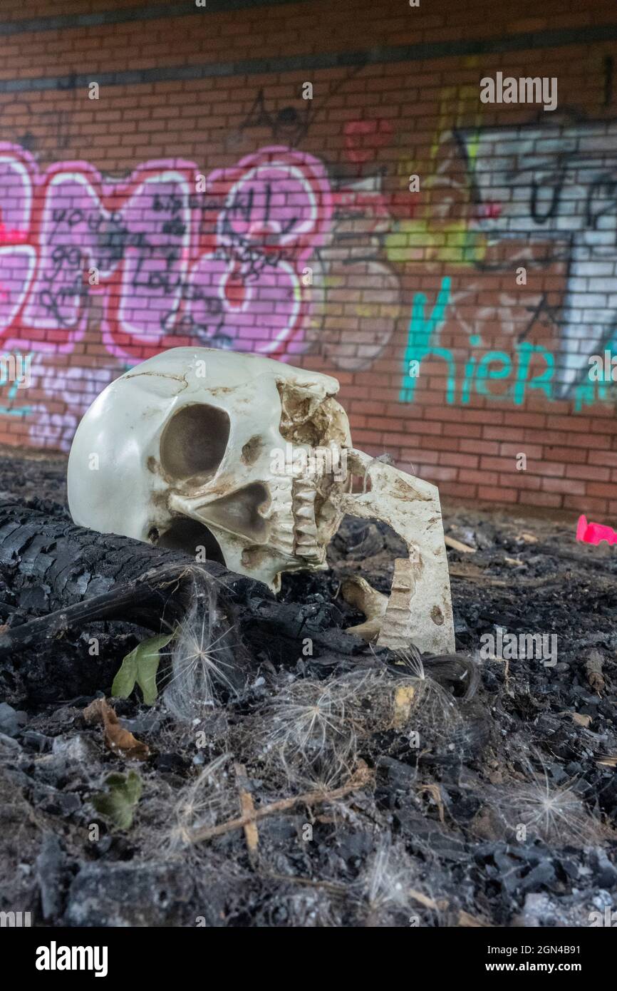 crâne humain à côté du mur de graffiti urbain Banque D'Images