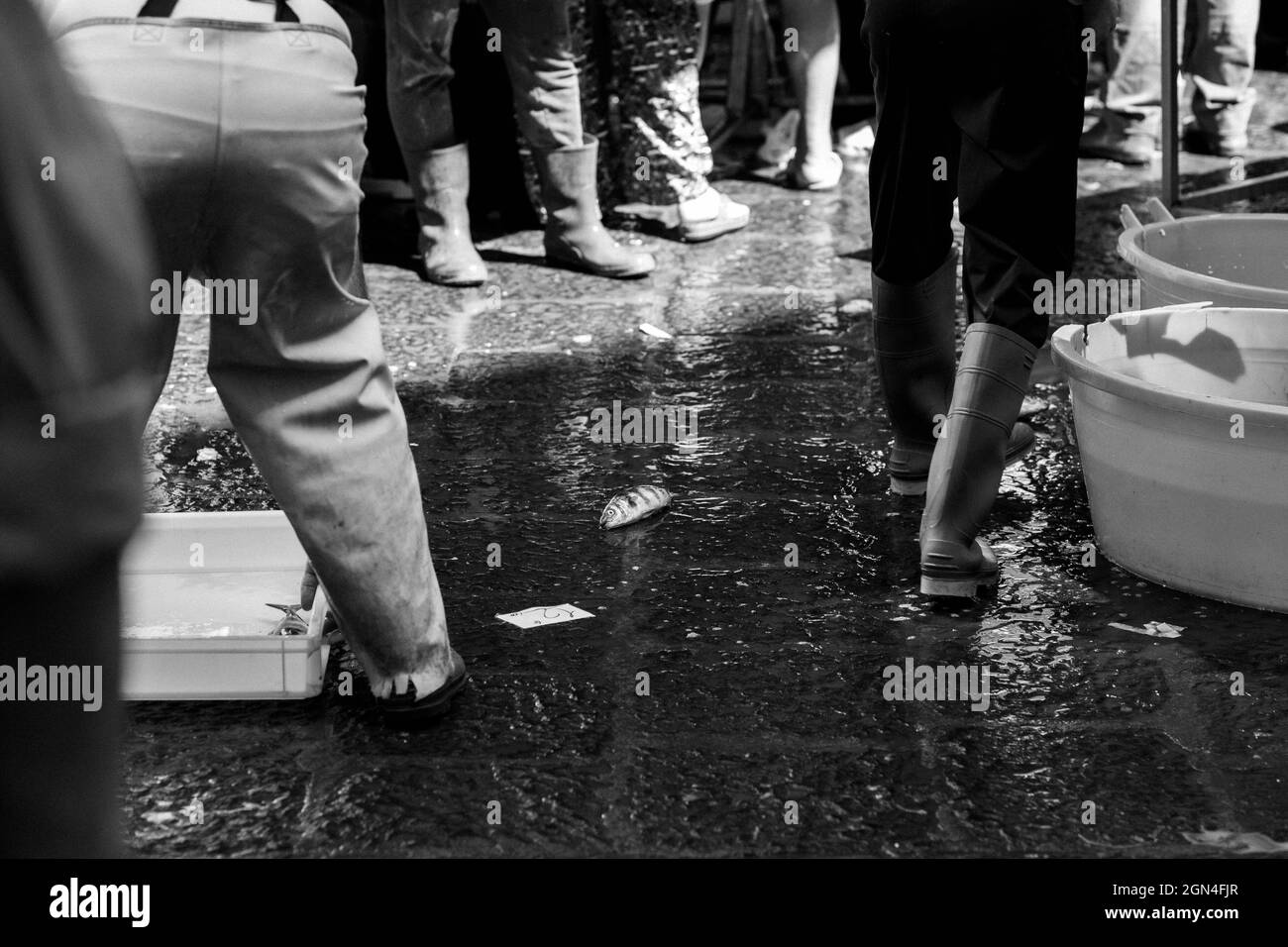 Marché aux poissons à Catane Banque D'Images