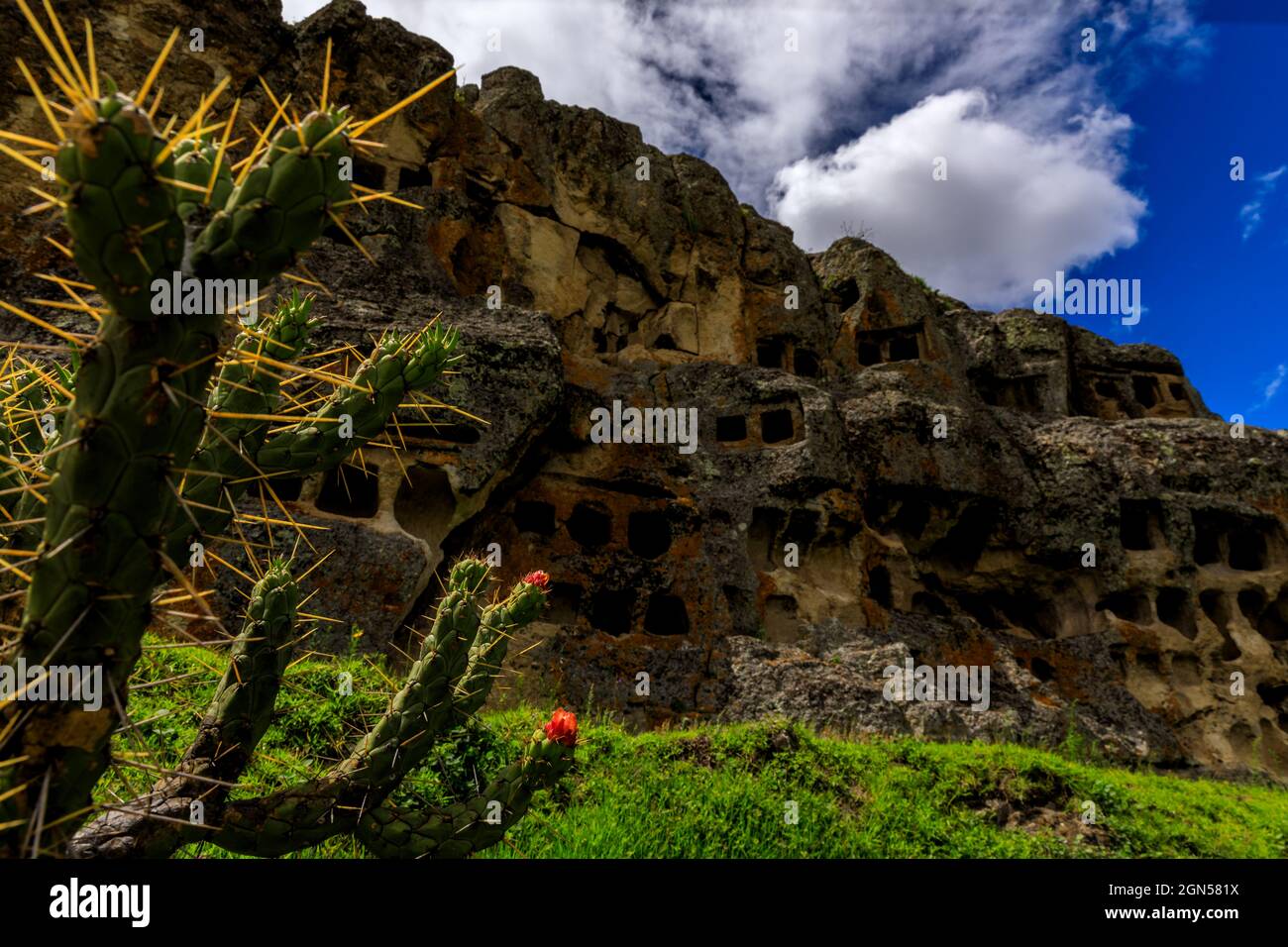 Un cactus en fleurs avec les Ventanillas de Otuzco en arrière-plan lors d'une journée ensoleillée dans le quartier de Banos del Inca de Cajamarca, Pérou Banque D'Images