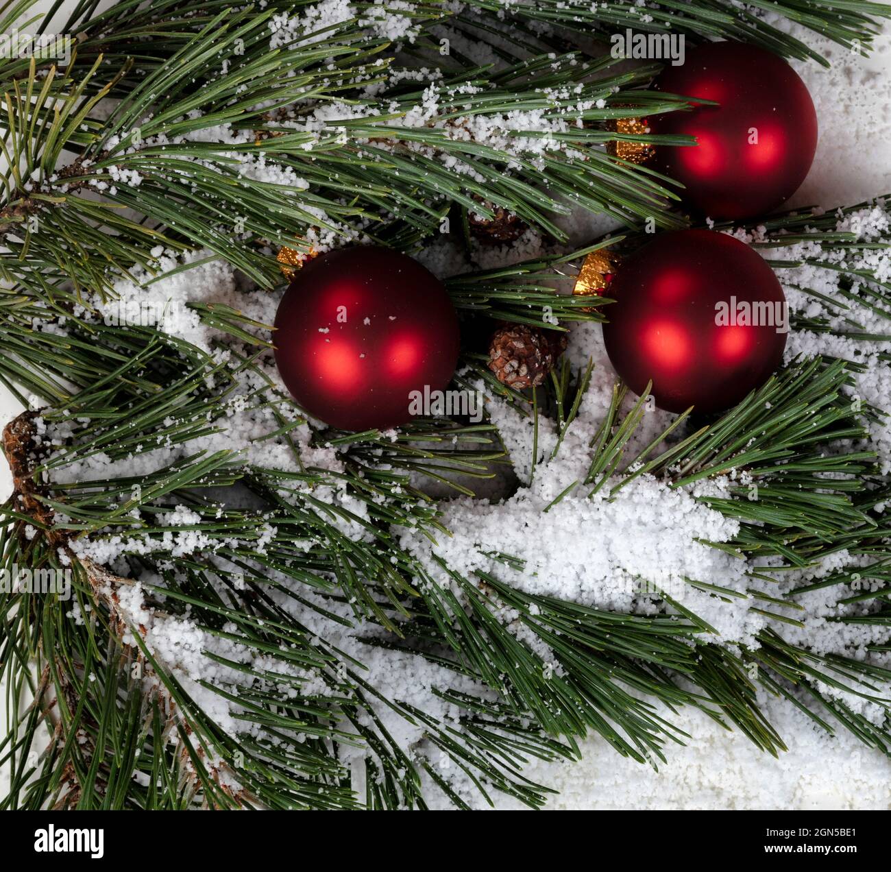 Cadre rempli de branches de sapin couvertes de neige véritable et d'ornements de boules rouges pour un joyeux Noël ou un joyeux concept de fête du nouvel an Banque D'Images