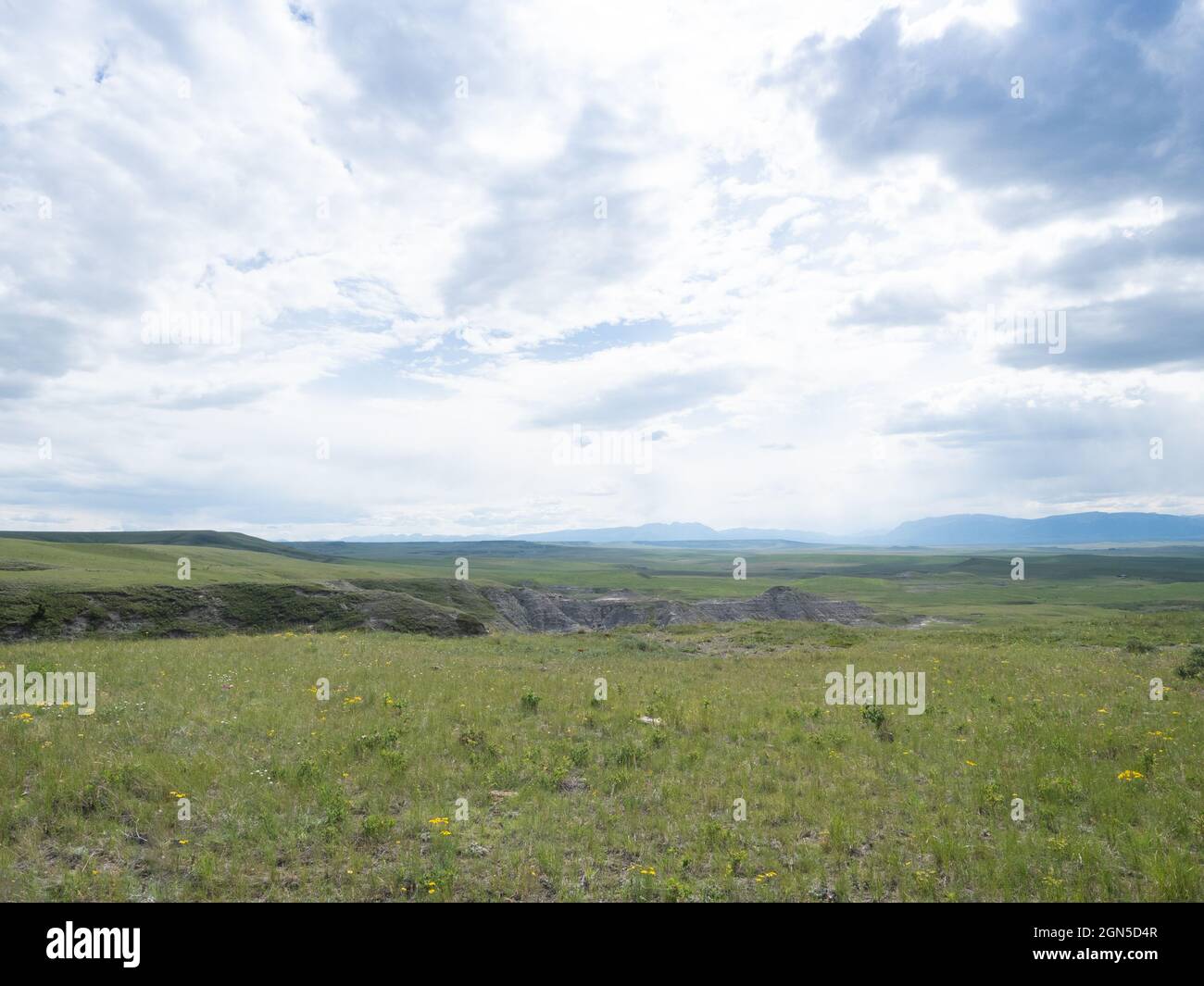 Site de creusage de paléontologie d'Egg Mountain où des œufs et des os de dinosaures ont été trouvés près de Choteau, Montana. Banque D'Images