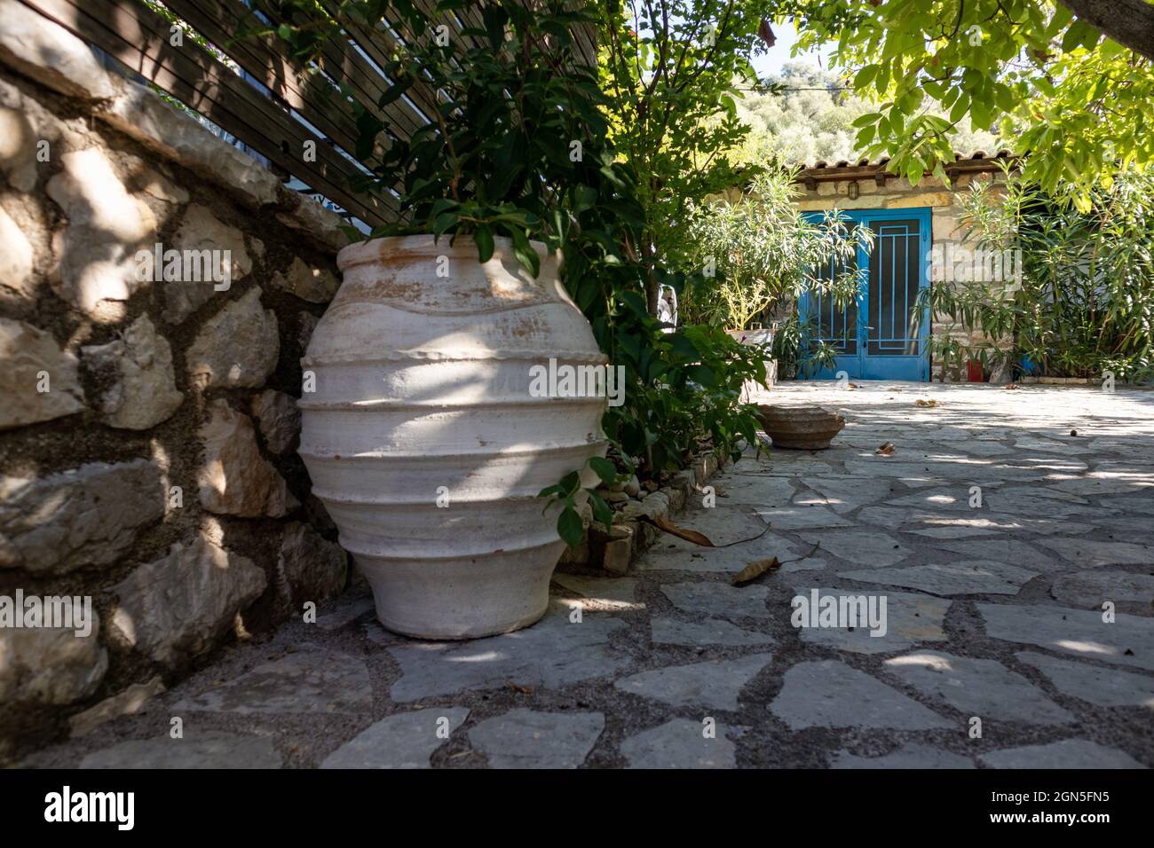 Grand vase de fleur en vert ensoleillé été dans la cour traditionnelle grecque avec des murs en pierre et des volets de portes bleues. Détails de l'architecture des lieux de voyage d'été Banque D'Images