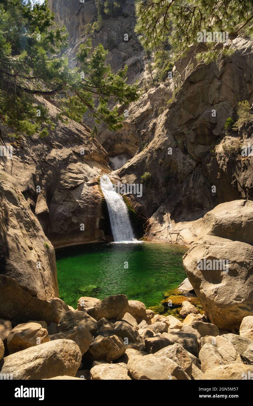Vue sur les chutes de Roaring River dans le parc national de Kings Canyon, Californie, États-Unis Banque D'Images