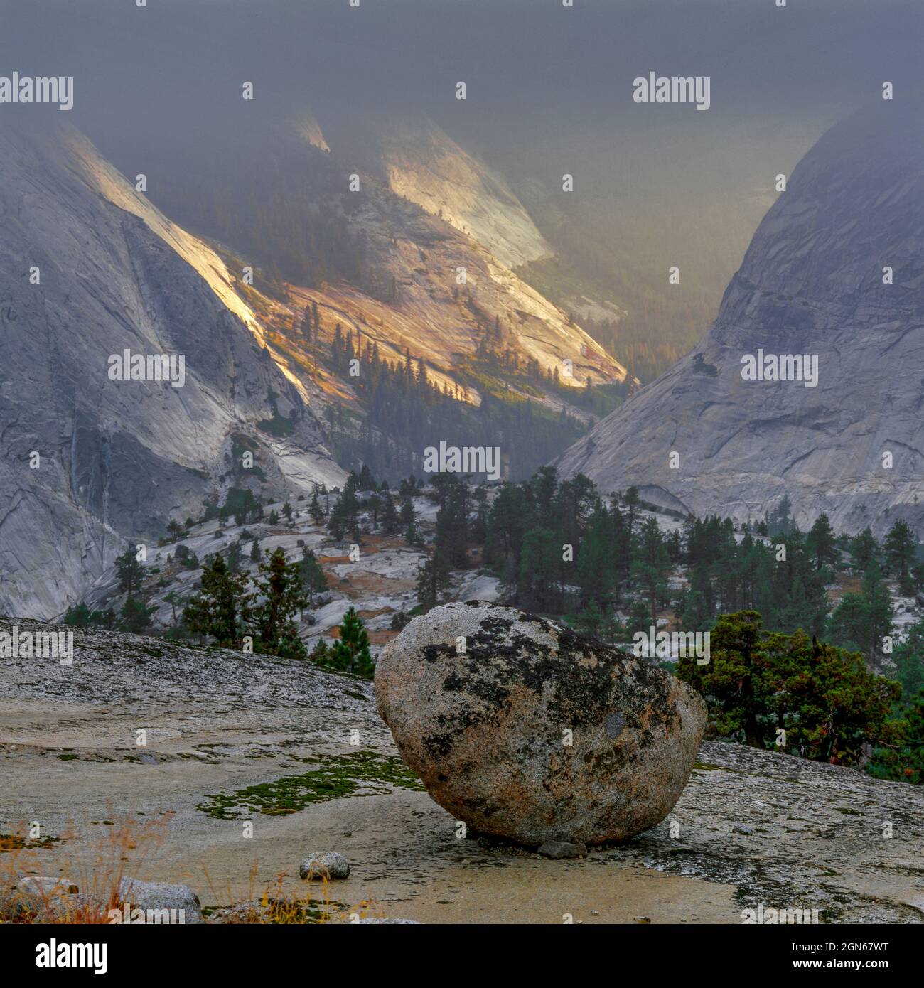 Erratique glaciaire, Sunrise Creek, parc national de Yosemite, Californie Banque D'Images