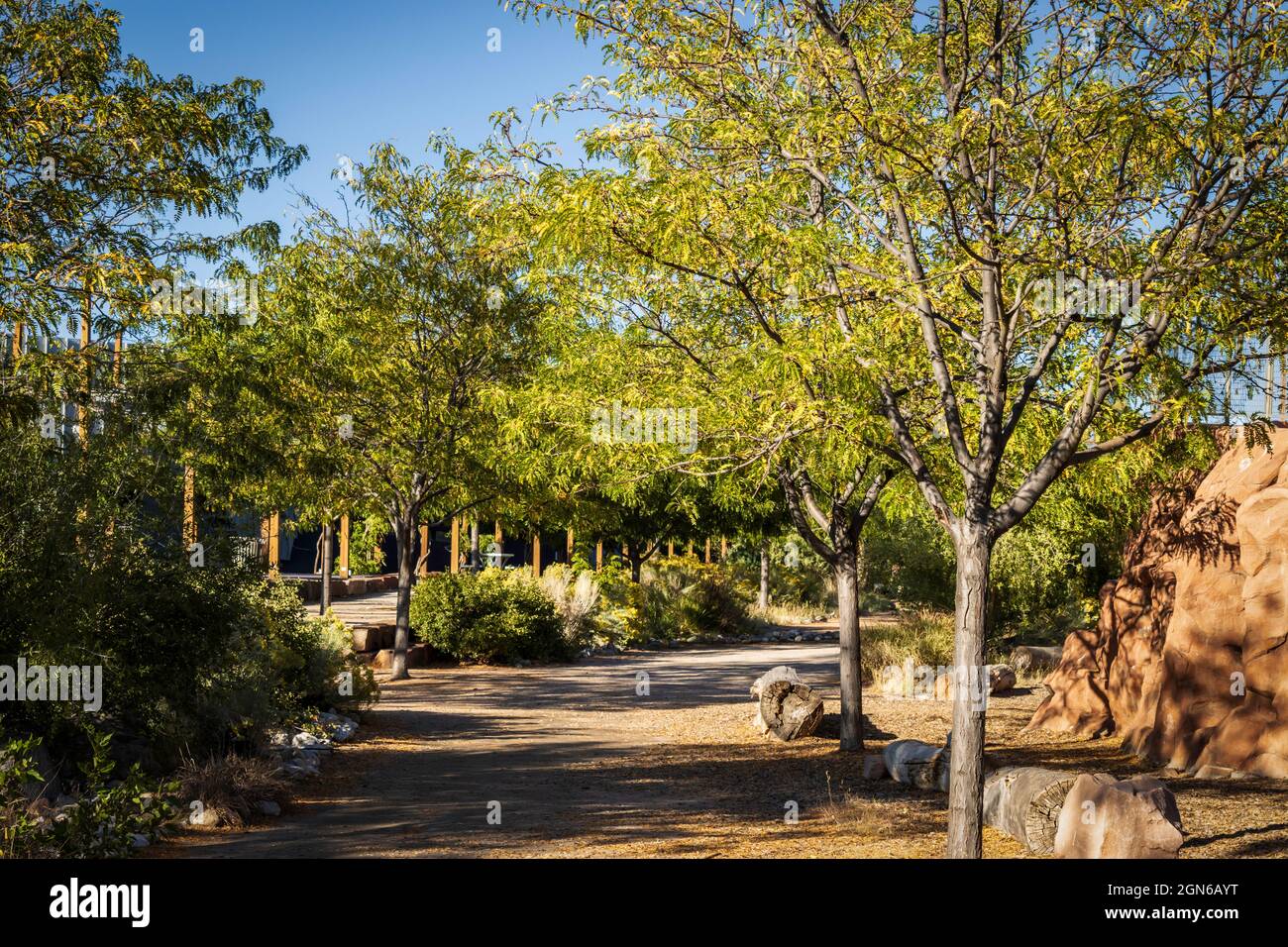 Une promenade dans le parc révèle une beauté absolue Banque D'Images