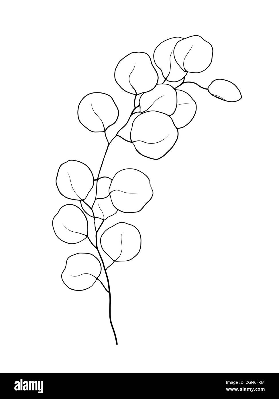 Dessin floral sur fond blanc Illustration de Vecteur