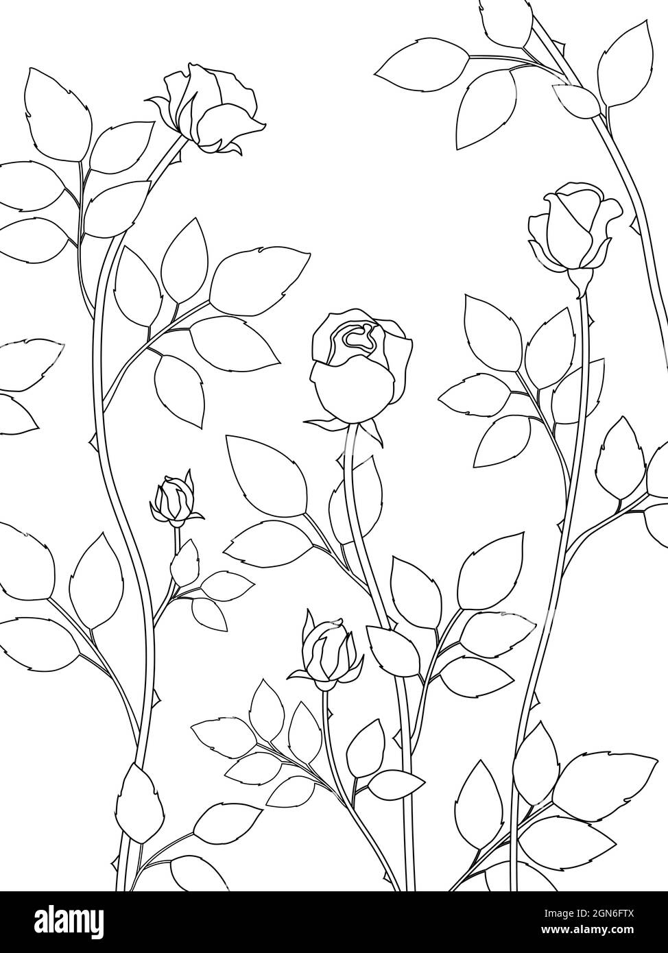Magnifique dessin de vigne rose sur fond blanc Illustration de Vecteur