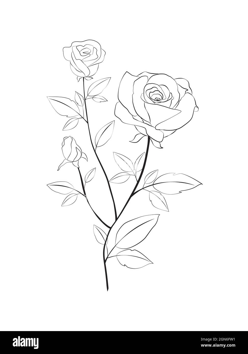 Superbe dessin de roses sur fond blanc Illustration de Vecteur