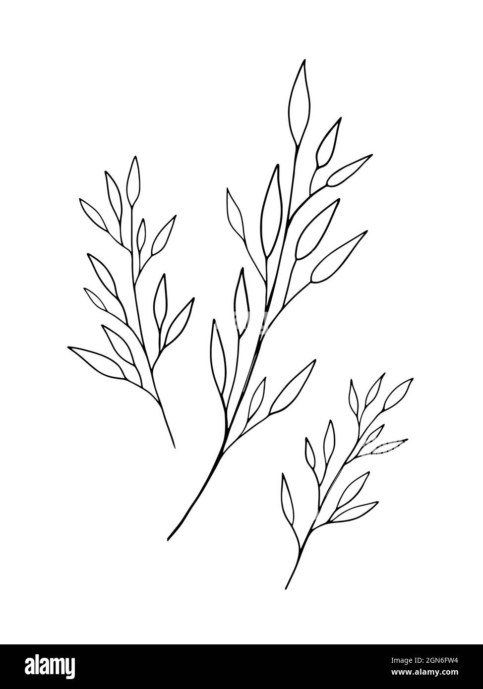 Belle feuille de dessin art sur fond blanc Illustration de Vecteur