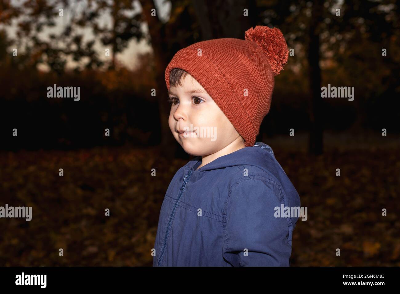 Un garçon de 3 ans dans un chapeau orange et une veste bleue marche dans la forêt d'automne et regarde loin. Banque D'Images