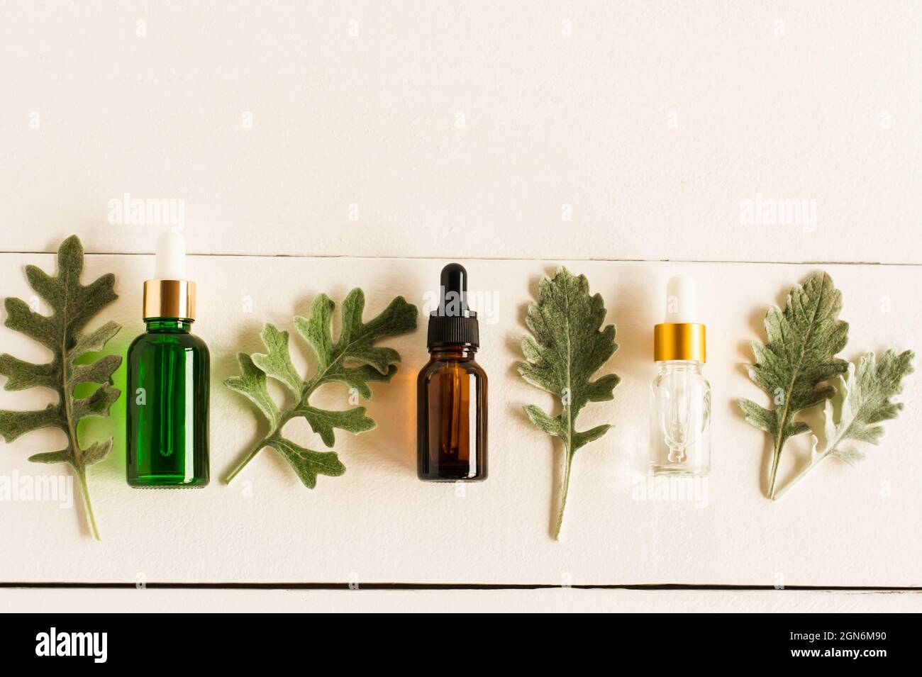 disposition plate des bouteilles cosmétiques avec une pipette de différentes couleurs et formes avec des huiles naturelles essentielles et des feuilles de silvery de plantes Banque D'Images