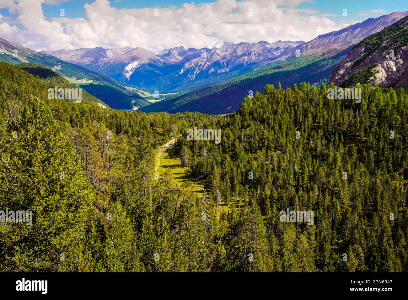 Vue magnifique sur le parc national des Alpes du centre et de l'est, canton des Grisons, Suisse; Banque D'Images
