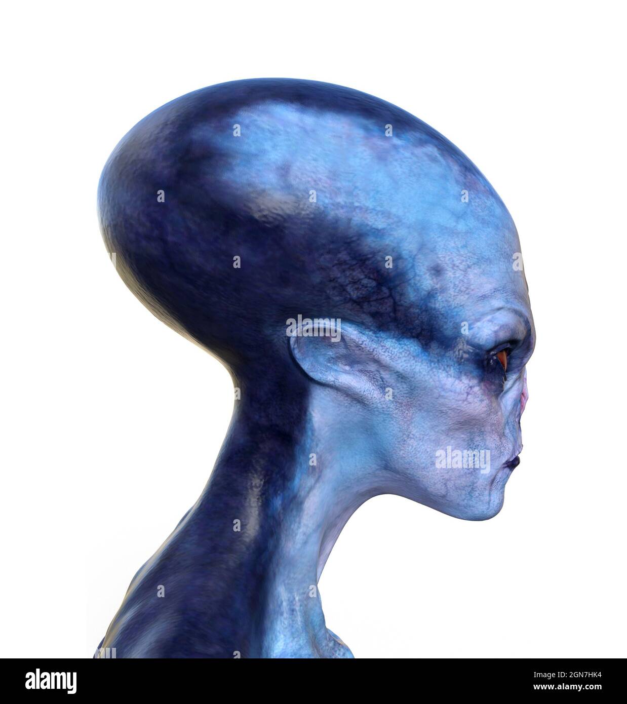 profil d'illustration 3d de la tête et du cou d'un extraterrestre bleu sur fond blanc. Banque D'Images