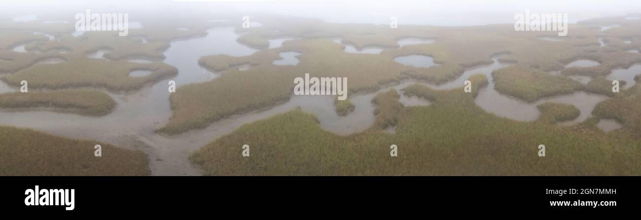 Le brouillard coule sur un vaste marais salé de Pleasant Bay, Cape Cod, Massachusetts. Ce type d'habitat est une aire d'alimentation vitale pour la faune en migration. Banque D'Images