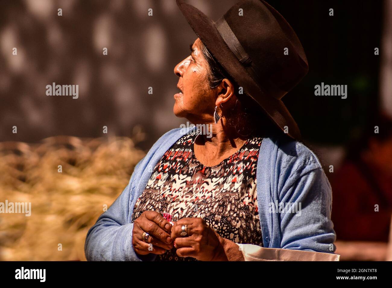 Femme indigène typique de la Puna américaine de Souht avec costume typique. Jujuy, Argentine Banque D'Images