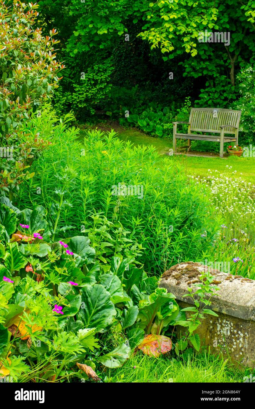 Banc en bois et fleurs en juin à Goltho Gardens près de Wragby dans Lincolnshire East Midlands Angleterre Royaume-Uni Banque D'Images