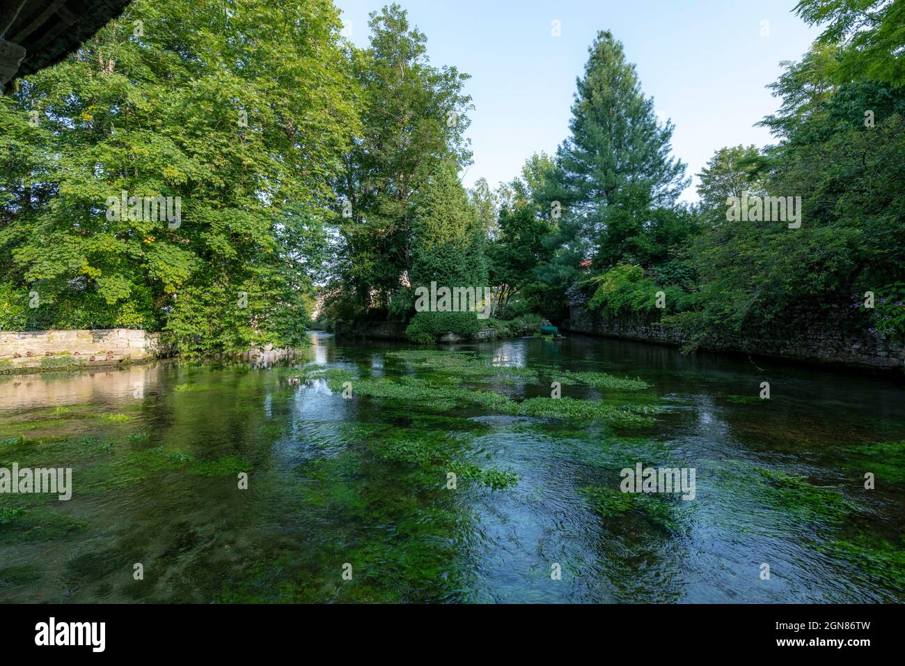 La rivière Beze à Beze, Côte d'Or, Bourgogne, France. Banque D'Images