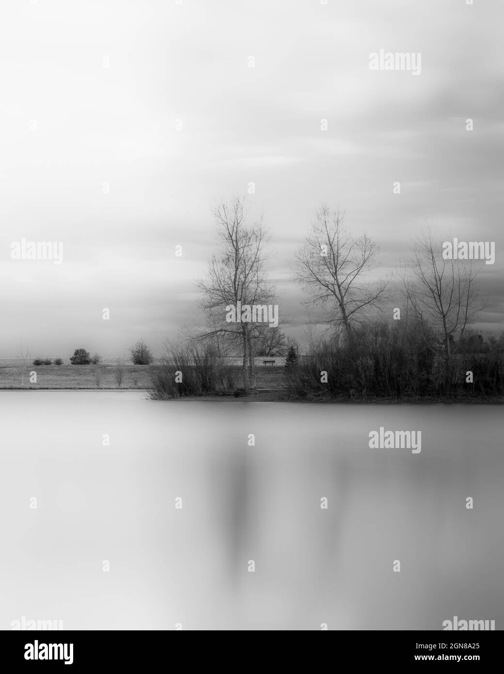 Une longue exposition noire et blanche d'arbres et d'un étang. Réservoir Thomas, Erie, Colorado Banque D'Images