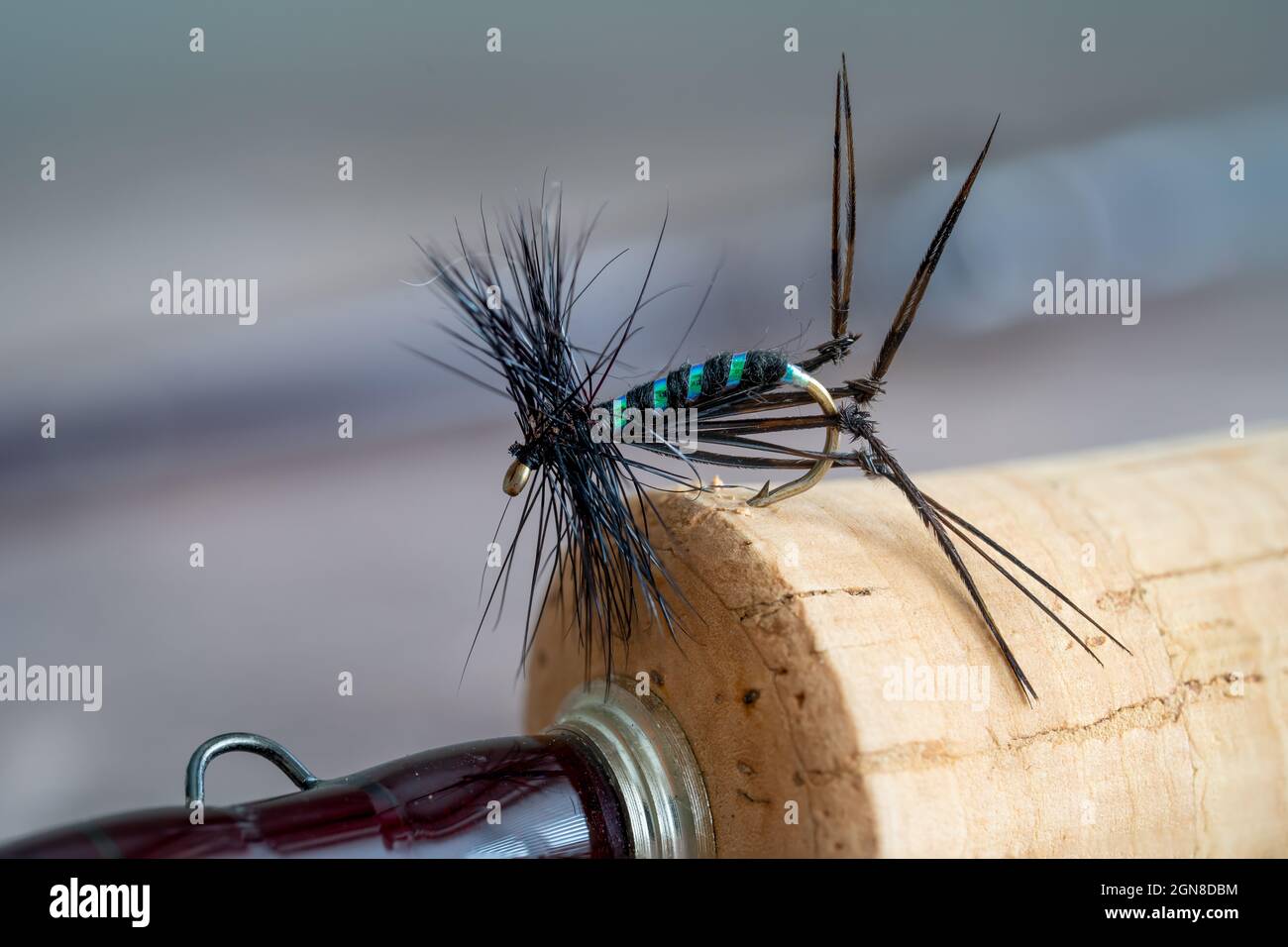 Macro d'une grue noire Hopper voler célèbre rivière anglaise et ruisseau mouche sèche sur une poignée en liège d'une tige de mouche Banque D'Images