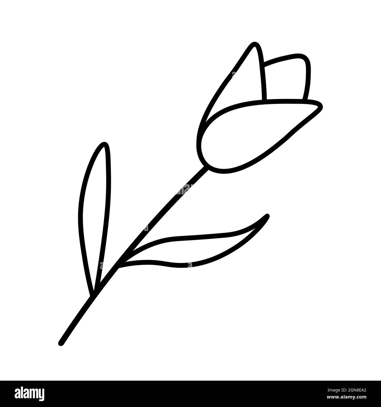 Icône ou logo tulipe. Fleur dessinée à la main. Illustration vectorielle de style doodle isolée sur fond blanc. Dessin de ressort botanique. Illustration de Vecteur