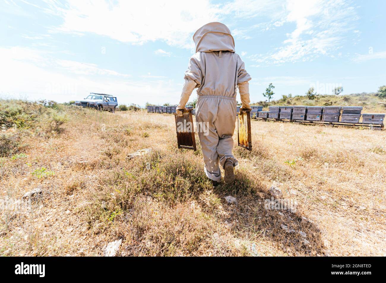 Un apiculteur mâle se brossant la ruche par un collègue à la ferme Banque D'Images