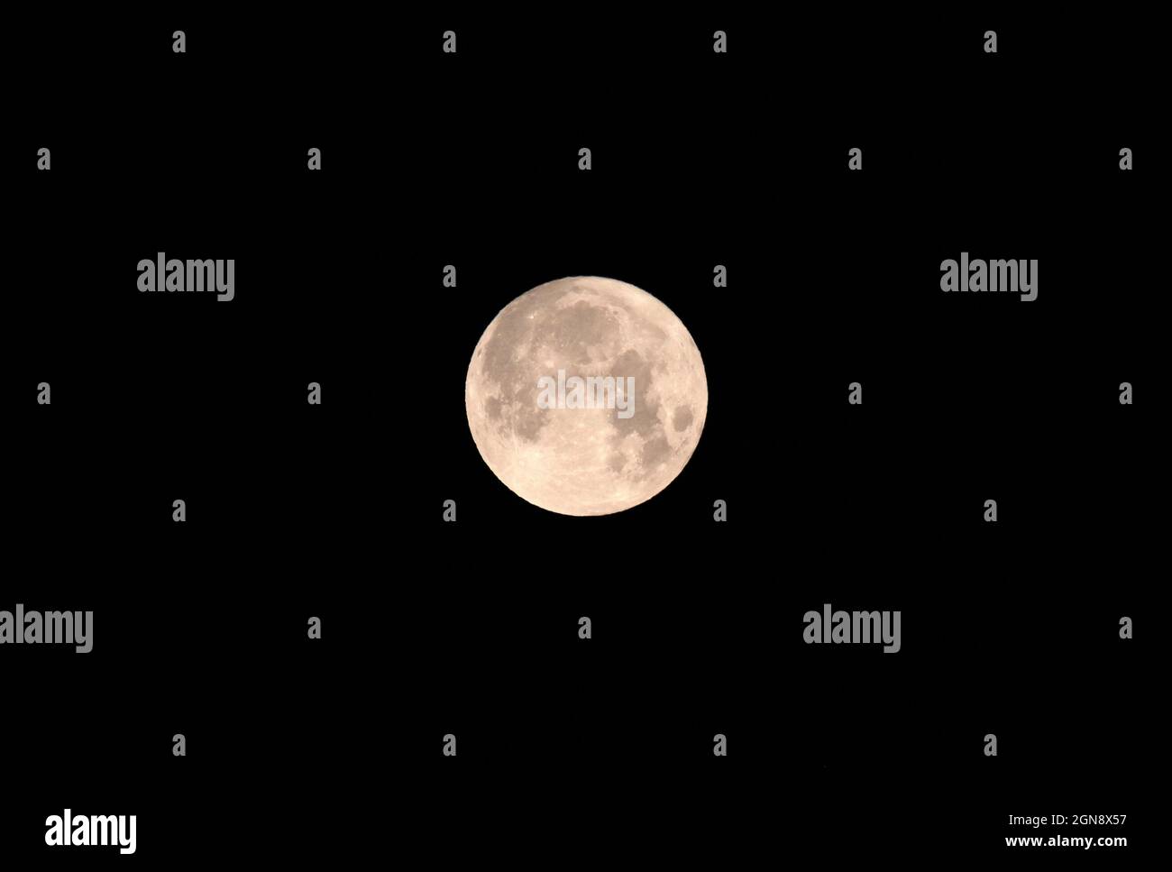 La pleine lune brille contre le ciel clair de nuit Banque D'Images