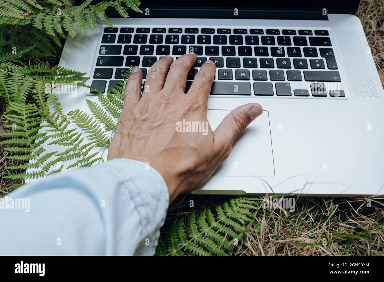 Homme utilisant un ordinateur portable sur l'herbe dans la forêt Banque D'Images