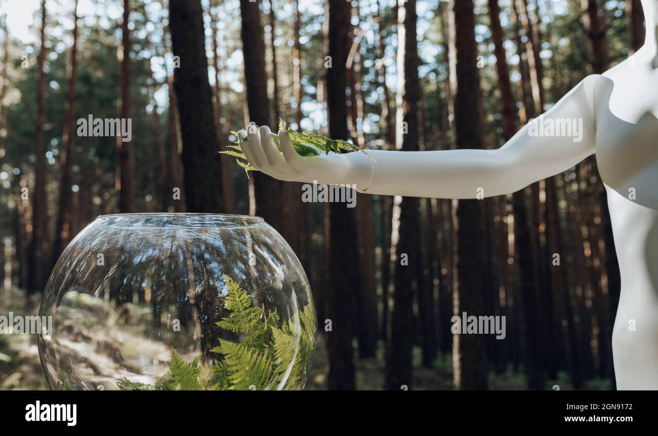 Robot tenant des feuilles au-dessus du terrarium dans la forêt Banque D'Images