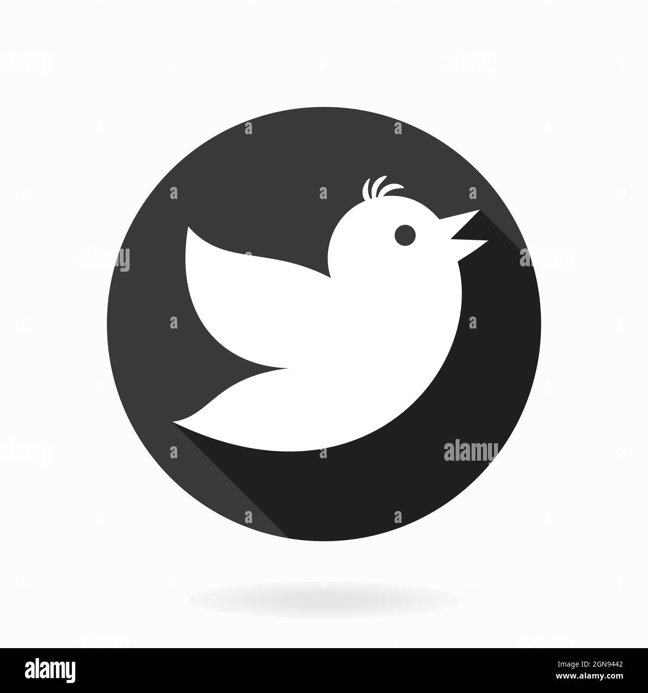Icône blanche avec oiseau volant dans le cercle noir. Conception plate avec ombre longue Banque D'Images