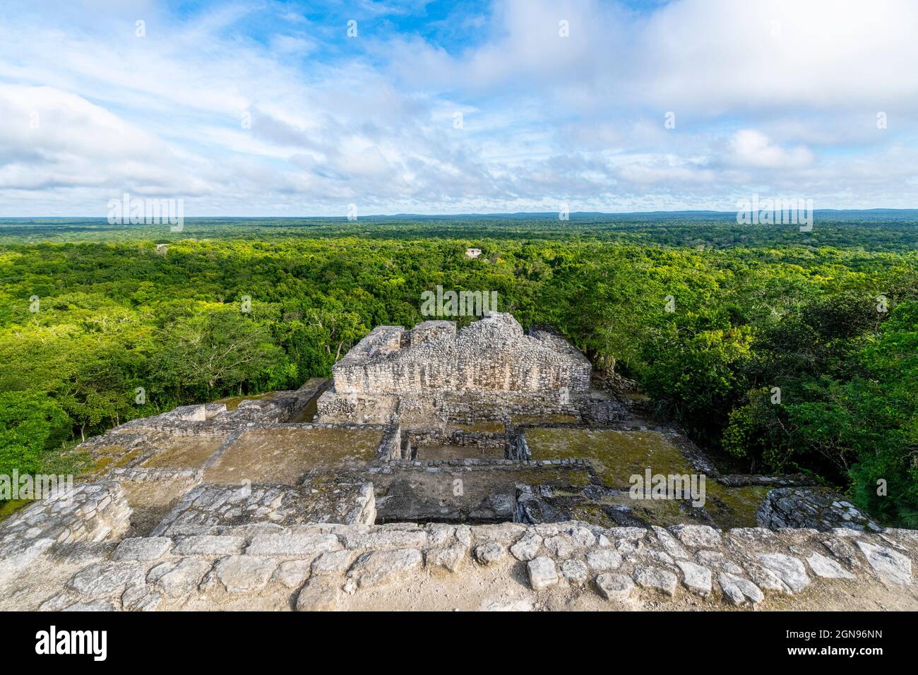 Mexique, Campeche, forêt tropicale verte vue des ruines mayas anciennes de Calakmul Banque D'Images