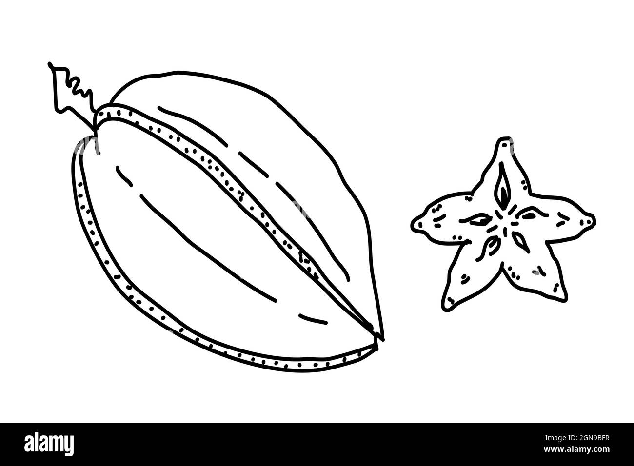 Art vectoriel de la carabole fruit. Fruits tropicaux dessinés à la main. Illustration de Vecteur