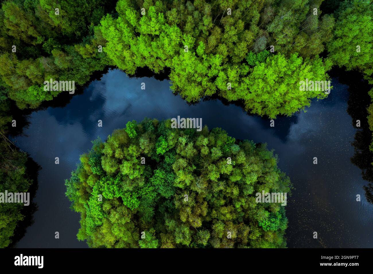 Vue aérienne de la végétation luxuriante de la forêt tropicale couverte d'îles couvertes d'arbres entourées d'eau de rivière dans un environnement tropical d'Amazonie ou de Thaïlande Banque D'Images
