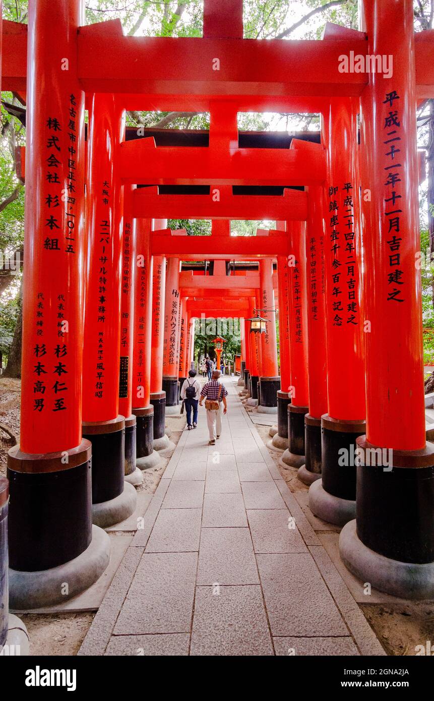 Temple Fushimi Inari et forêts de bambous environnantes Banque D'Images