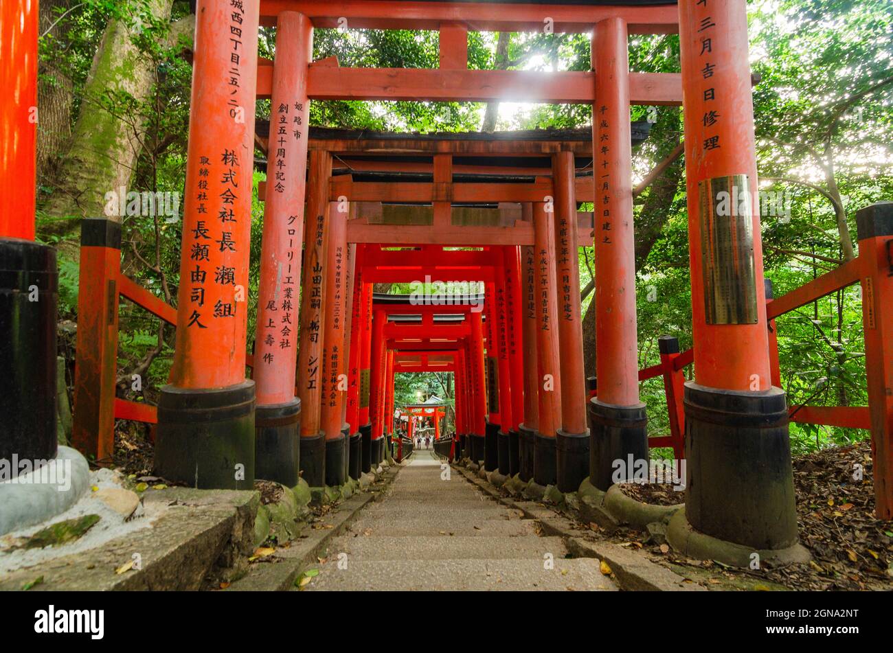 Temple Fushimi Inari et forêts de bambous environnantes Banque D'Images