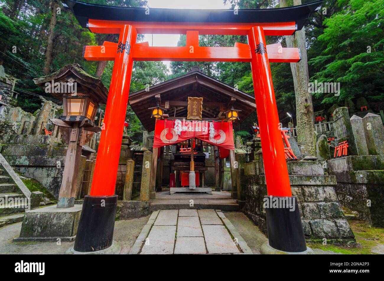 Temple Fushimi Inari et forêts de bambous environnantes Banque D'Images