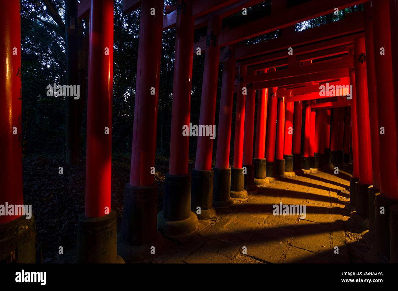 Temple Fushimi Inari et forêts de bambous environnantes Banque D'Images