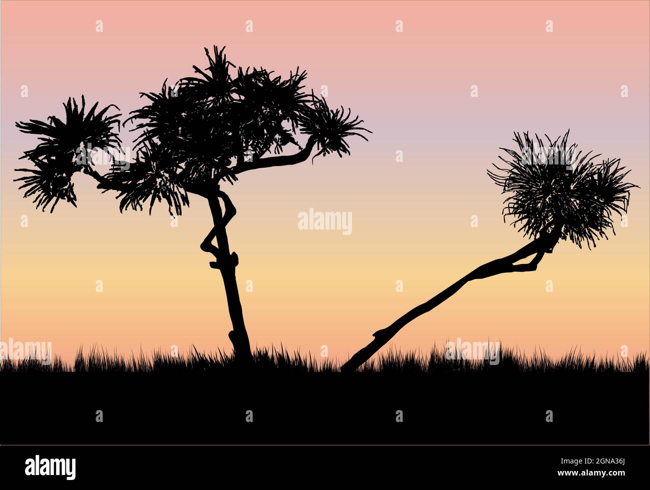 deux arbres de pandanus poussent dans le fond de l'illustration au coucher du soleil Illustration de Vecteur