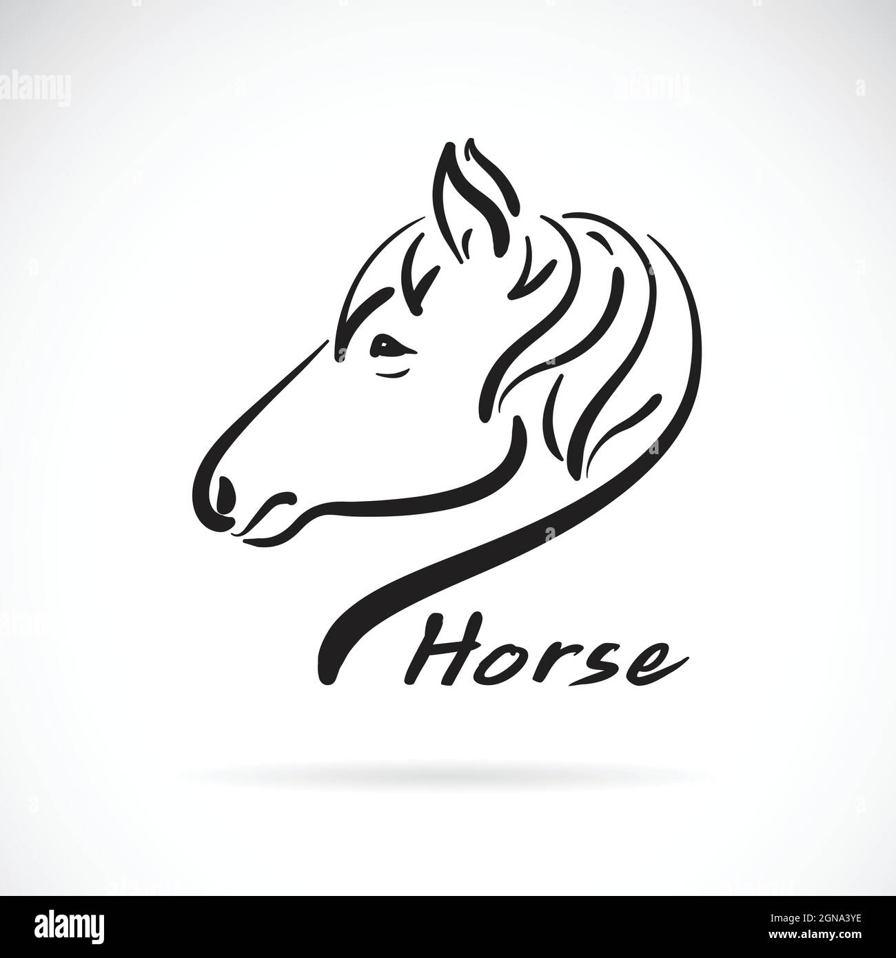 Vecteur de peinture à tête de cheval à main levée sur fond blanc. Animaux sauvages. Illustration vectorielle superposée facile à modifier. Illustration de Vecteur