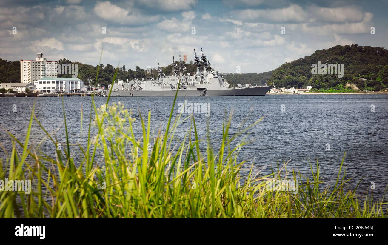 Navires de la Force d'autodéfense maritime du Japon (JMSDF) vus à travers l'herbe et assis dans le port de Yokosuka, au Japon. Banque D'Images