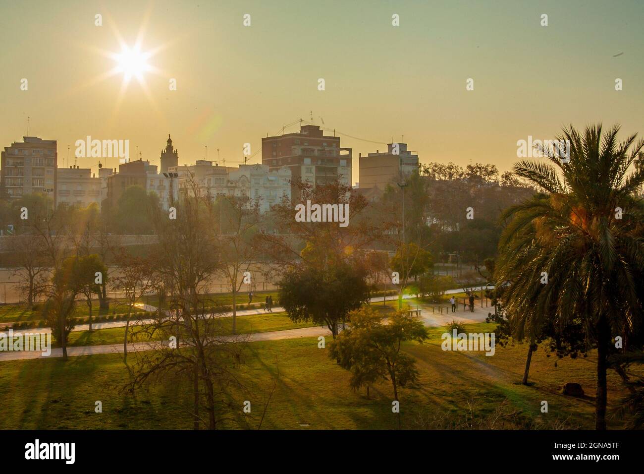 paysage urbain du parc de la ville de valencias Banque D'Images