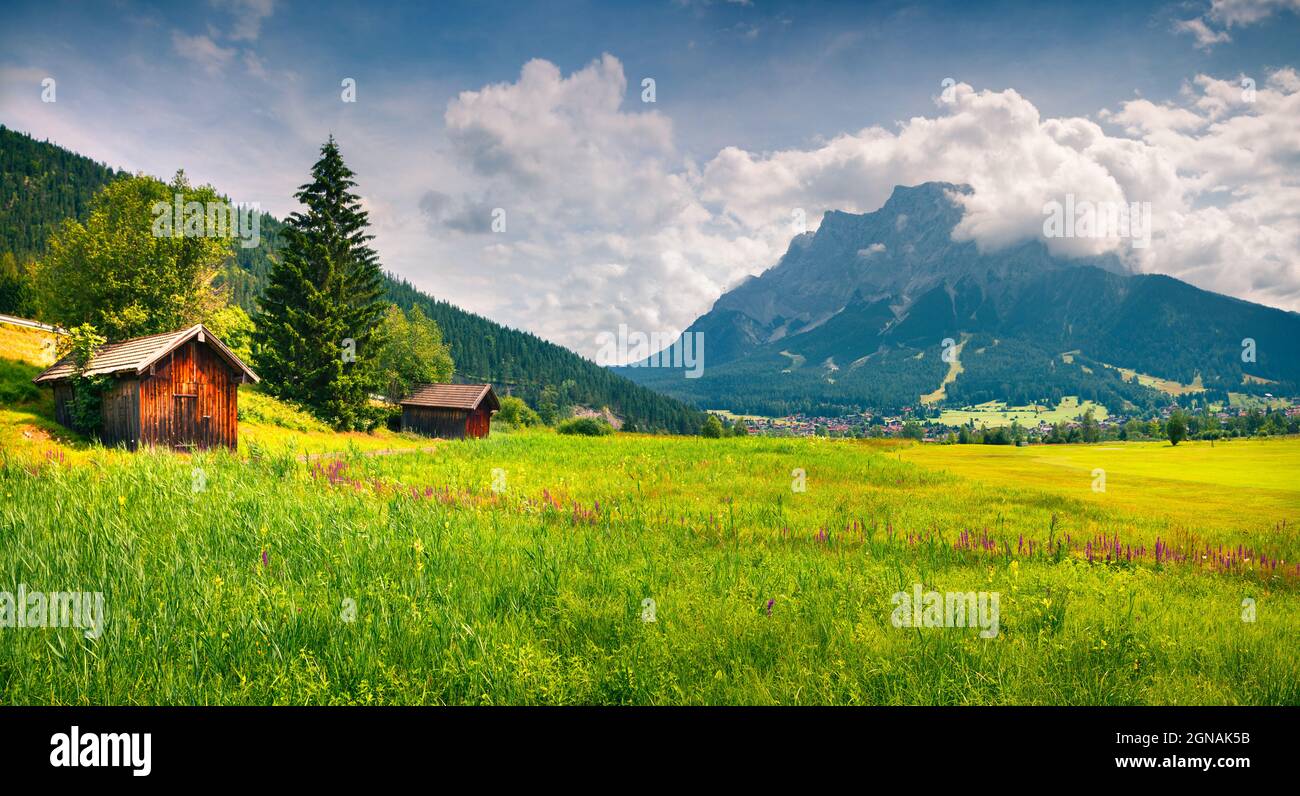 Prairie verte sur le club de golf Zugspitze, location du village de Lermoos. Panorama estival coloré des Alpes autrichiennes, quartier de Reutte, état du Tyrol, Austr Banque D'Images