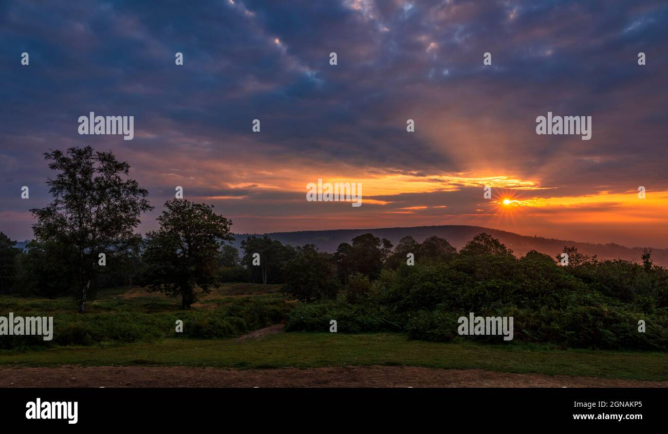 Spectaculaire lever de soleil en septembre derrière la colline de Leith depuis Holmbury Hill sur les collines de Surrey, au sud-est de l'Angleterre Banque D'Images