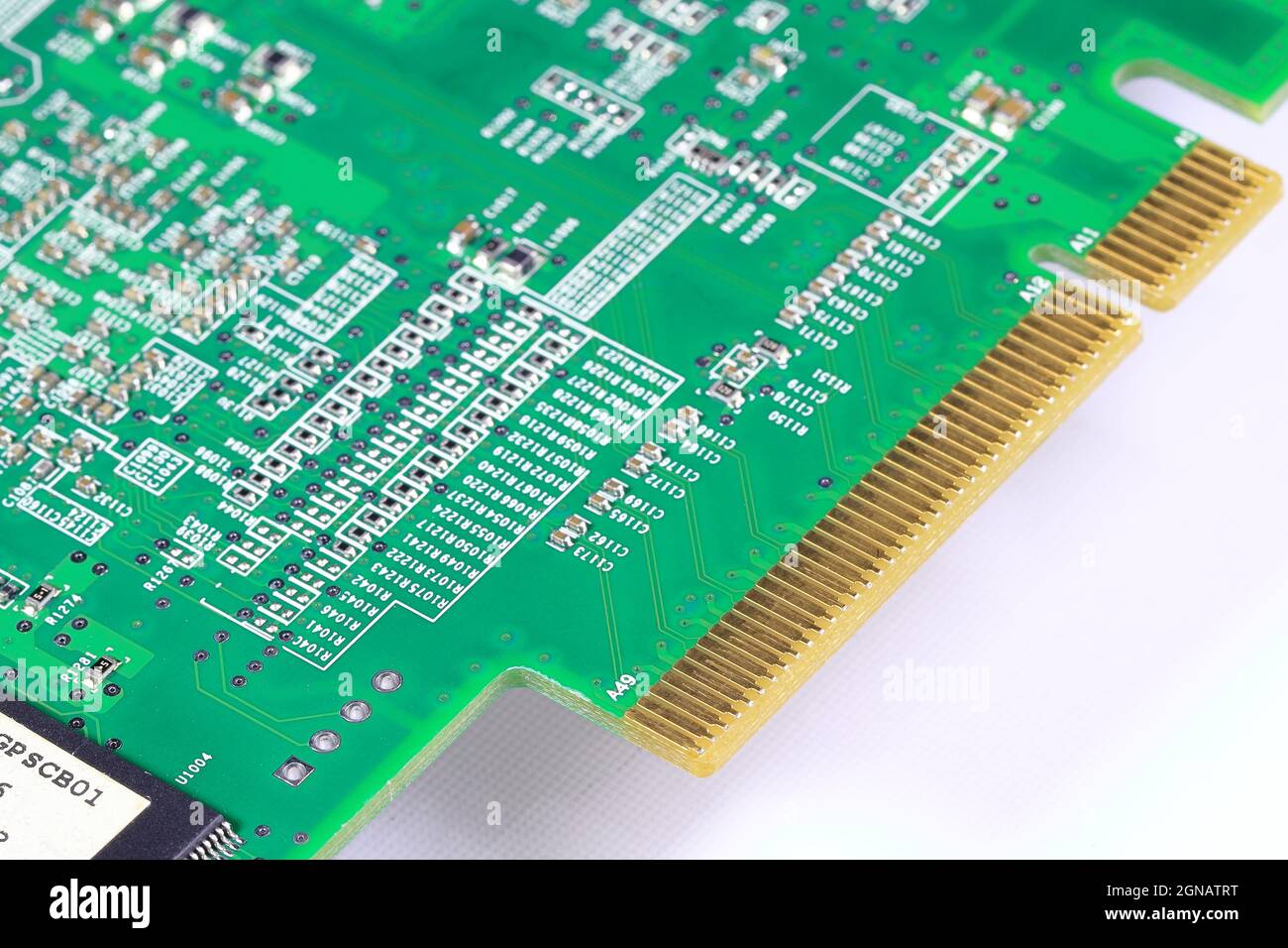Gros plan sur le connecteur de carte PCI-express 8x pour l'interface avec l'ordinateur isolé sur fond blanc Banque D'Images