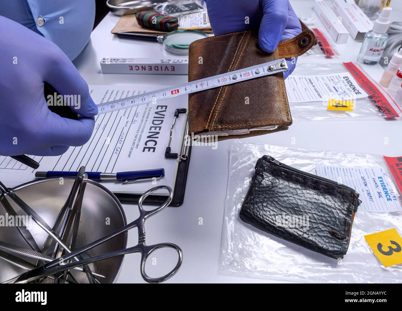 Un agent de police spécialisé mesure un portefeuille dans un laboratoire de crime, image conceptuelle Banque D'Images
