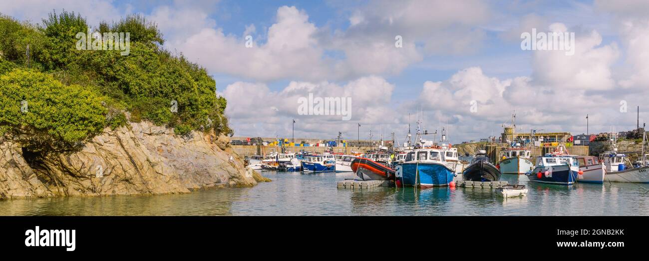 Une image panoramique du pittoresque port historique de Newquay à Newquay, sur la côte nord de Cornwall. Banque D'Images