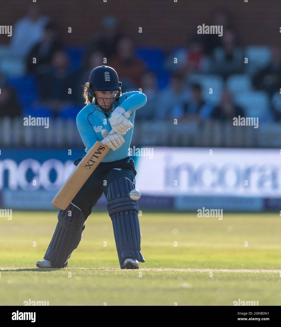 Tammy Beaumont battant pour l'Angleterre dans la 4e internationale féminine One Day contre la Nouvelle-Zélande Banque D'Images