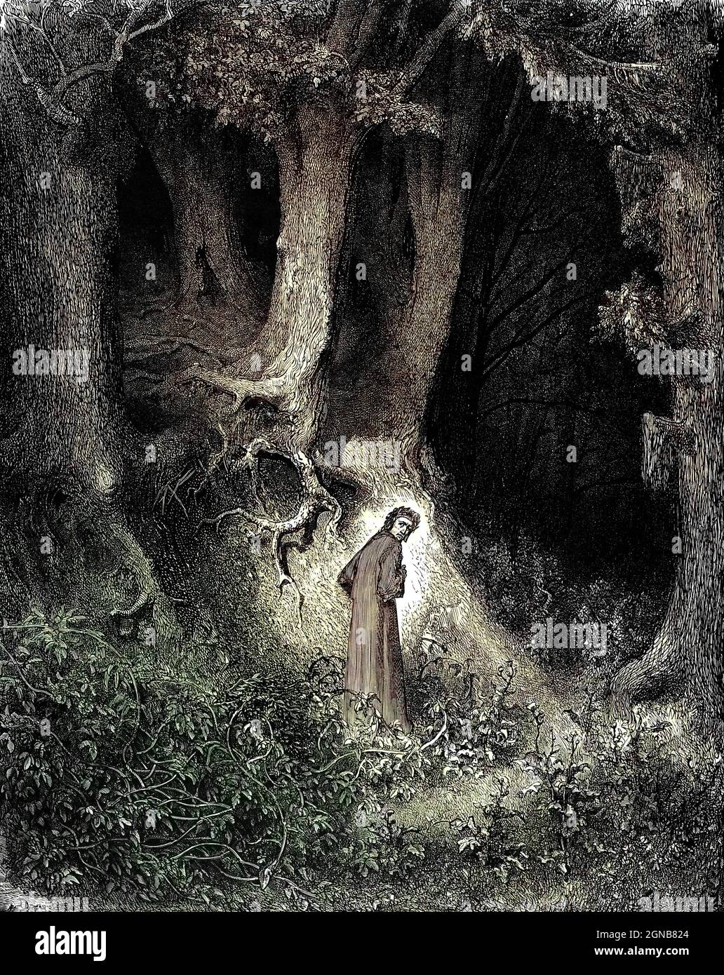 Machine colorisée iamge la forêt sombre [abandonnez tous les espoirs que vous entrez ici] de la Divine Comédie par le poète italien Dante Alighieri du XIVe siècle. 1860 oeuvres d'art, de l'artiste français Gustave Dore et gravées par Stéphane Pannemaker, de 'la Vision de l'Enfer' (1868), traduction anglaise de Cary de l'Inferno. Dante écrivit son poème épique 'Divina Commedia' (la Divine Comédie) entre 1308 et sa mort en 1321. Composé de 14,233 lignes, et divisé en trois parties (Inferno, Purgatorio, et Paradiso), il est considéré comme le plus grand travail littéraire de la langue italienne et un chef-d'œuvre mondial. C'est un c Banque D'Images
