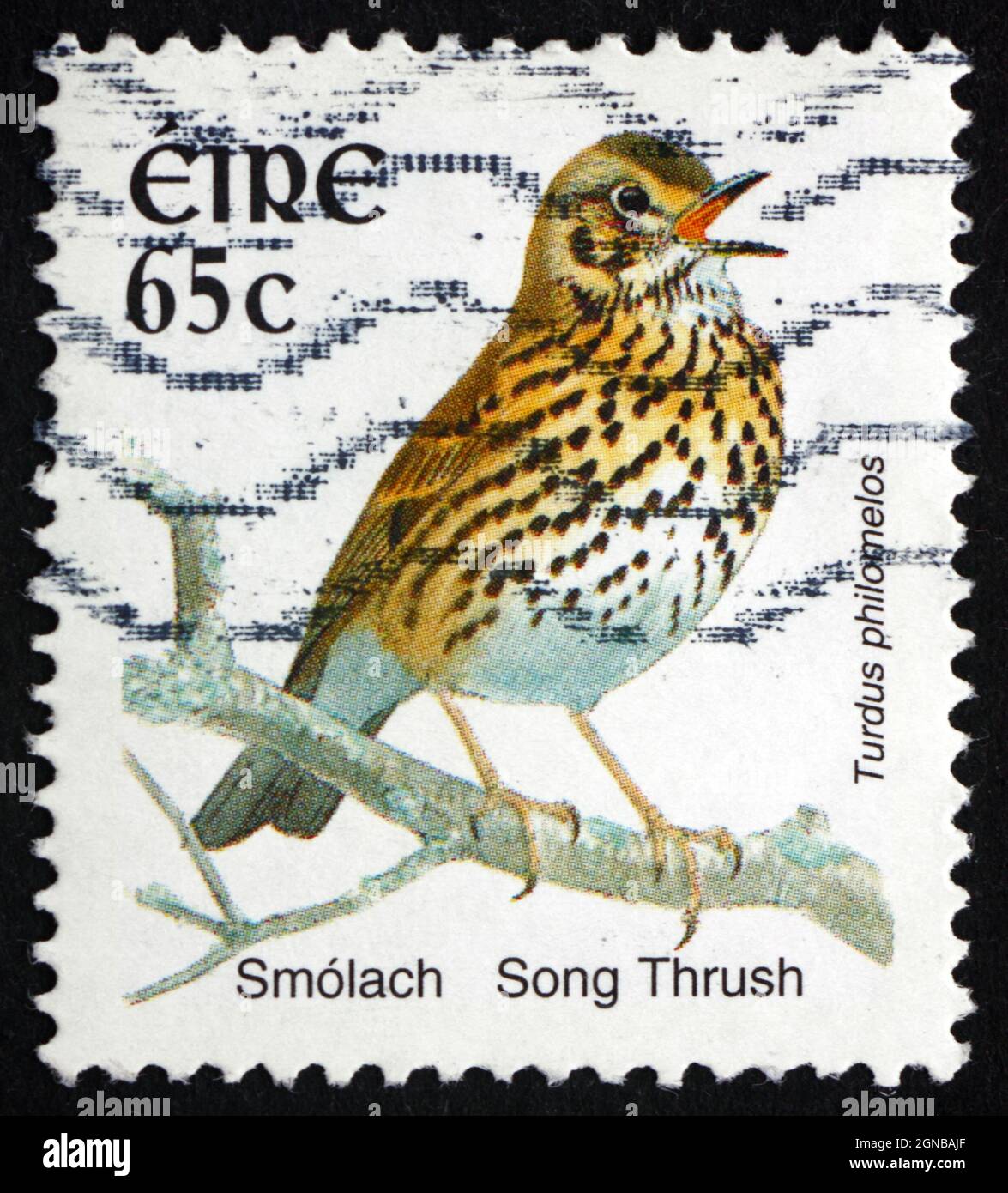 IRLANDE - VERS 2004: Un timbre imprimé en Irlande montre Song Grush, Turdus Philomelos, Bird, vers 2004 Banque D'Images