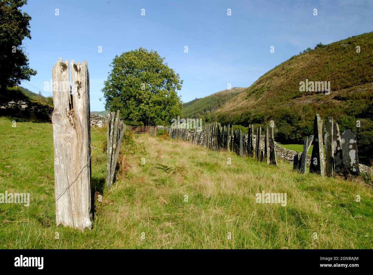 Tramway disutilisé près d'Aberllefenni, Gwynedd Banque D'Images