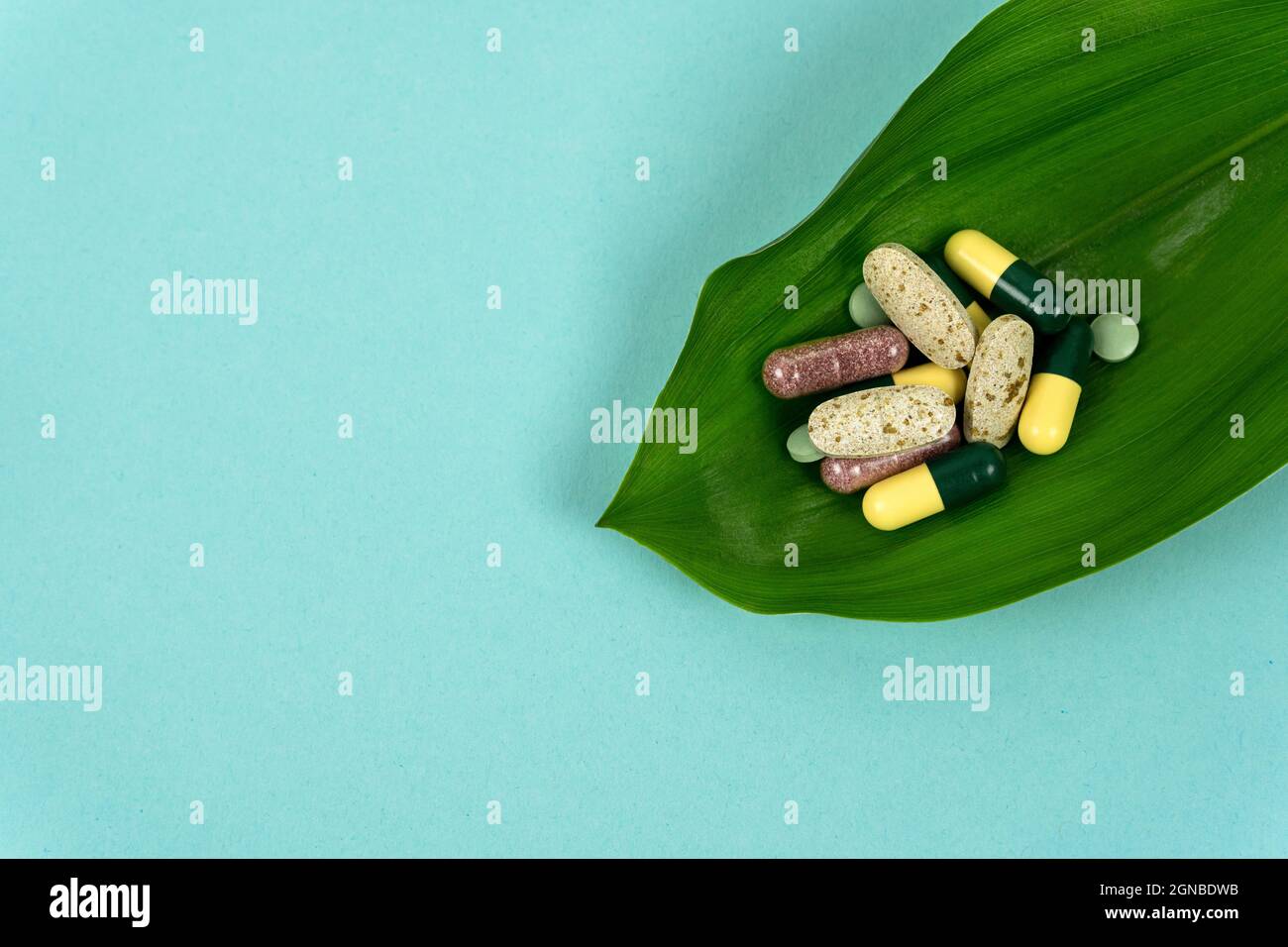 Une bande de pilules de fines herbes se trouvent sur une feuille de palmier. Médecine naturelle basée sur des traitements alternatifs. Copier l'espace sur l'arrière-plan couleur. Banque D'Images